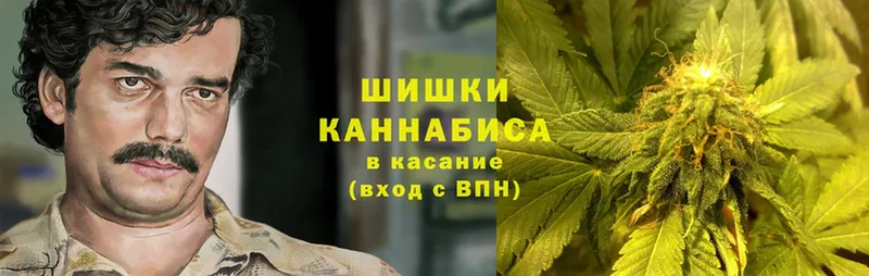 Марихуана THC 21%  Бирюч 